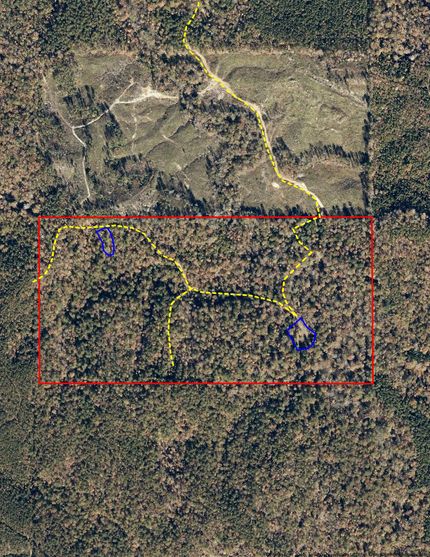 Undeveloped Land for sale in Choctaw County, Alabama