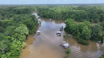 Land for sale in Hardin County, Texas