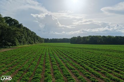 Land for sale in Geneva County, Alabama