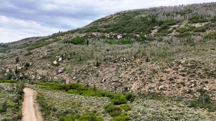 Hunting Property for sale in Carbon County, Utah