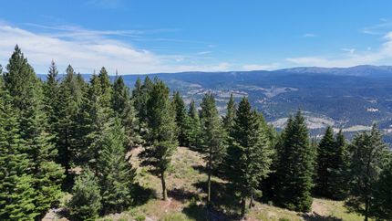 Timberland Property for sale in Union County, Oregon