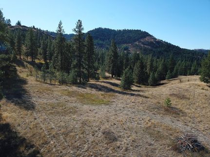 Timberland Property for sale in Ferry County, Washington