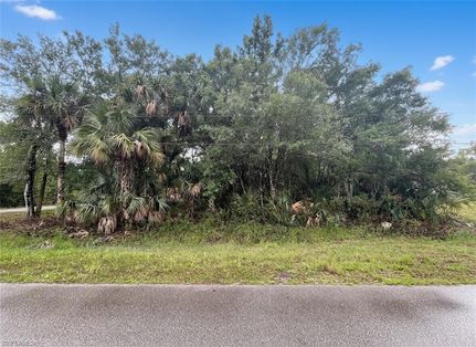Homesite for sale in Collier County, Florida