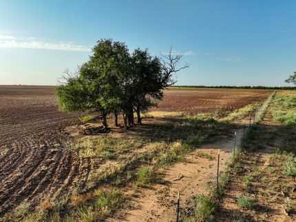 Farm and Ranch for sale in Knox County, Texas
