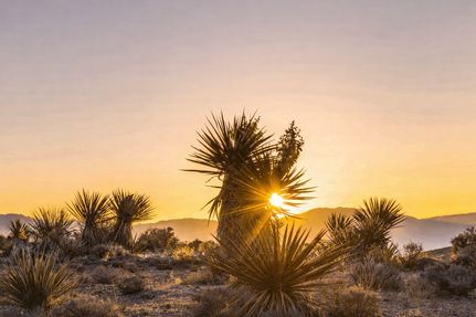 Land for sale in Mohave County, Arizona