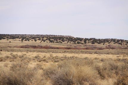 Undeveloped Land for sale in Apache County, Arizona