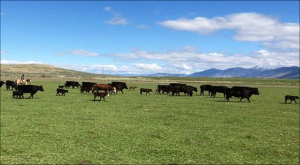 Farm and Ranch for sale in Lemhi County, Idaho