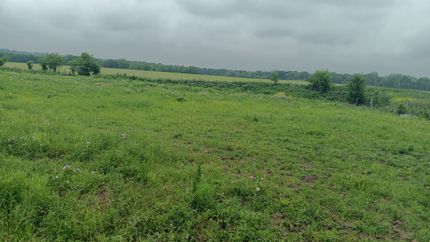 Farm and Ranch for sale in Falls County, Texas