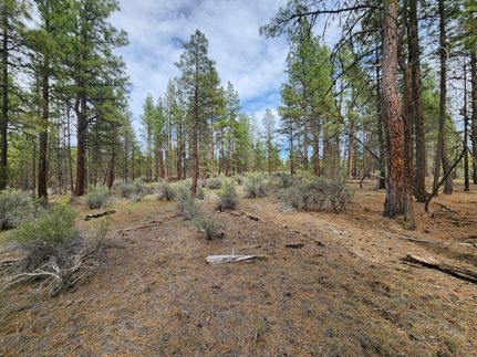 Land for sale in Klamath County, Oregon