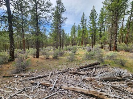 Land for sale in Klamath County, Oregon