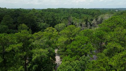Undeveloped Land for sale in Jasper County, Texas