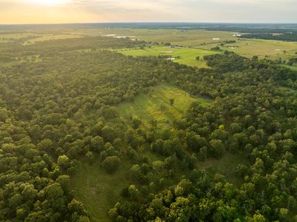 Land for sale in Barton County, Missouri