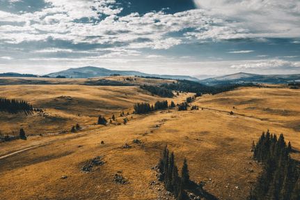 Land for sale in Albany County, Wyoming