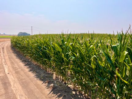 Farm and Ranch for sale in Grant County, Washington