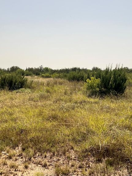 Land for sale in Concho County, Texas