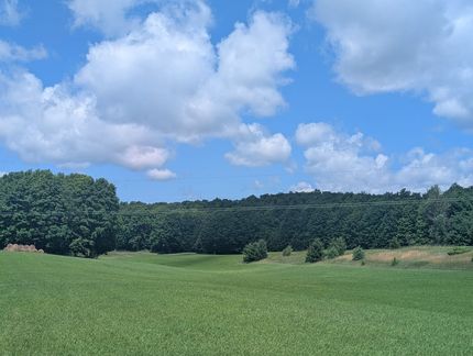 Land for sale in Charlevoix County, Michigan