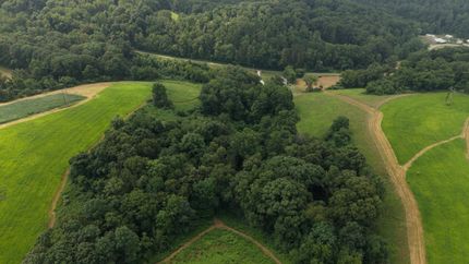 Farm and Ranch for sale in Coshocton County, Ohio