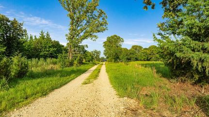 Undeveloped Land for sale in Lamar County, Texas