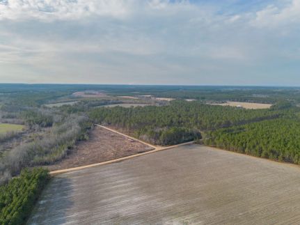 Recreational Property for sale in Wayne County, Georgia