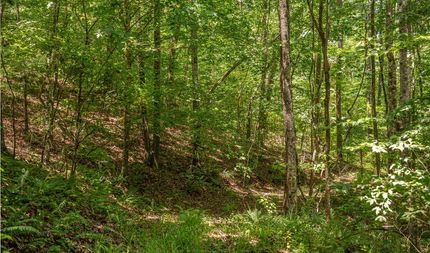Farm and Ranch for sale in Bibb County, Alabama