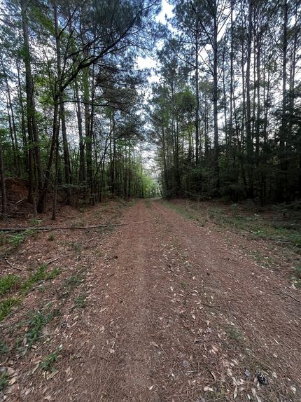 Hunting Property for sale in Union Parish, Louisiana