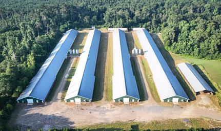 Land for sale in Vernon Parish, Louisiana