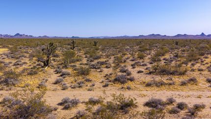 Land for sale in Mohave County, Arizona