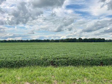 Farm and Ranch for sale in Cumberland County, Illinois