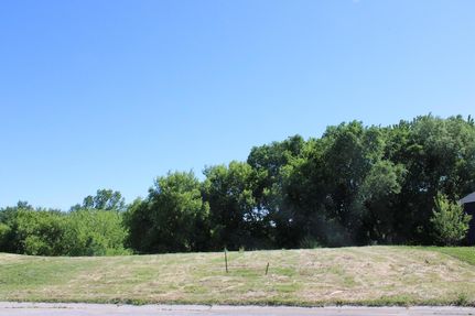Undeveloped Land for sale in McLeod County, Minnesota