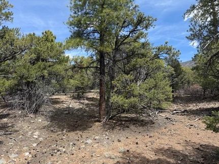 Timberland Property for sale in Taos County, New Mexico