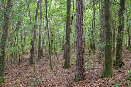 Land for sale in Baldwin County, Georgia