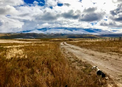 Undeveloped Land for sale in Lemhi County, Idaho