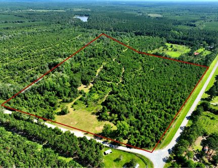 Timberland Property for sale in Dodge County, Georgia