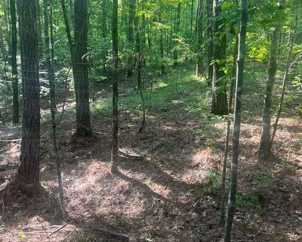 Land for sale in Attala County, Mississippi