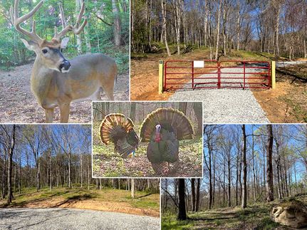 Timberland Property for sale in Gallia County, Ohio