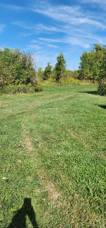 Farm and Ranch for sale in Ottawa County, Michigan