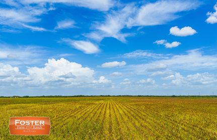 Land for sale in Hidalgo County, Texas