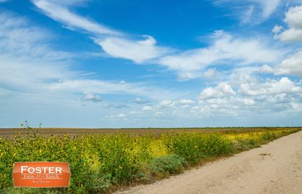Farm and Ranch for sale in Hidalgo County, Texas