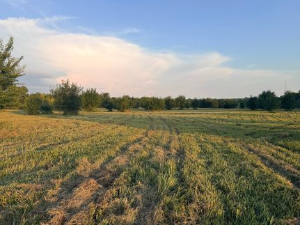 Land for sale in Newton County, Missouri