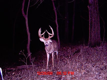 Farm and Ranch for sale in Osage County, Kansas