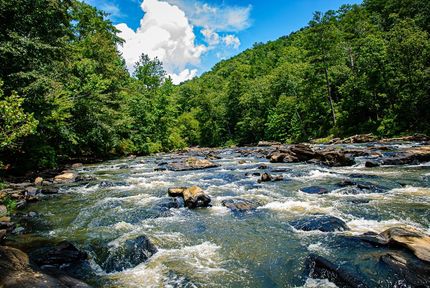 Timberland Property for sale in Pickens County, Georgia