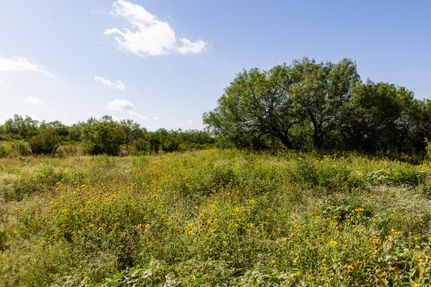 Land for sale in La Salle County, Texas