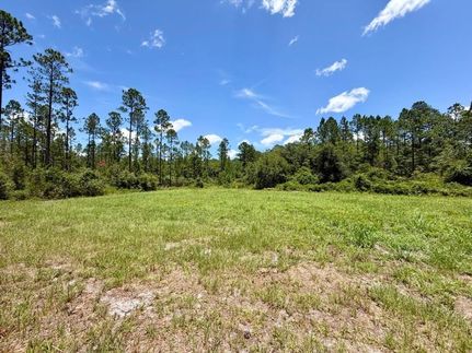 Farm and Ranch for sale in Madison County, Florida