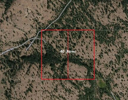Undeveloped Land for sale in Okanogan County, Washington