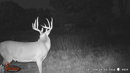 Farm and Ranch for sale in Osage County, Kansas