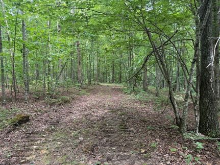 Land for sale in Marion County, Tennessee