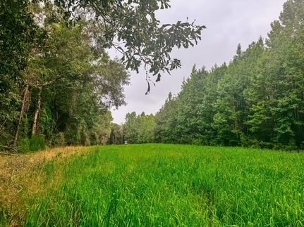 Timberland Property for sale in Lee County, Alabama