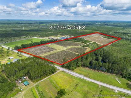 Land for sale in Pierce County, Georgia