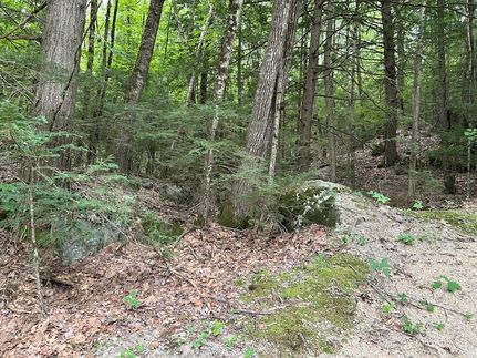 Farm and Ranch for sale in Merrimack County, New Hampshire