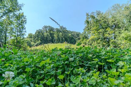 Land for sale in Greene County, Pennsylvania